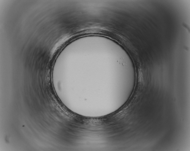 X0000103441164200809261747