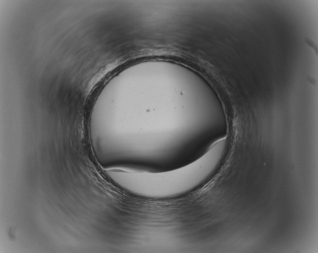 X0000103441165200809261747