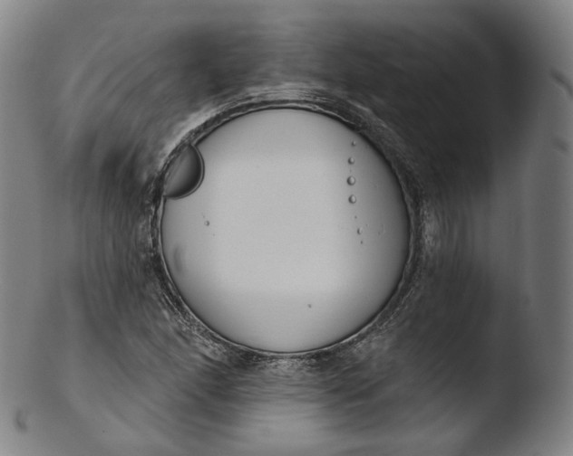 X0000103441166200809261747