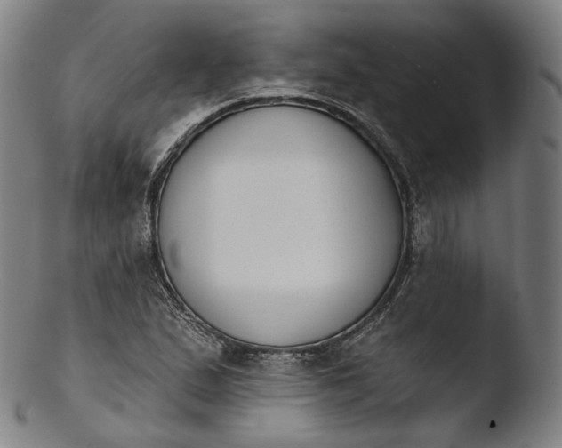 X0000103441167200809261747