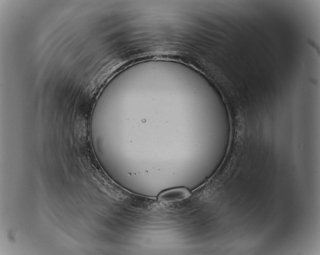 X0000103441169200809261747