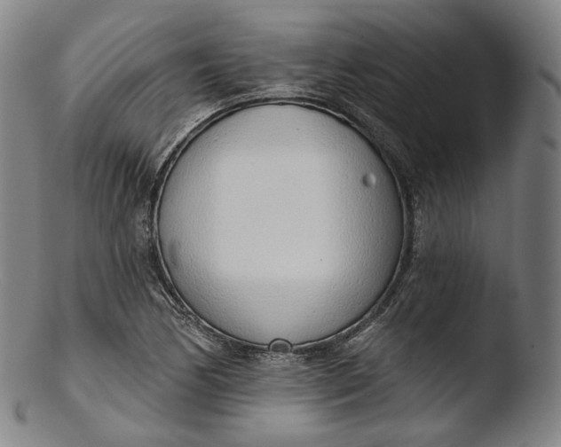 X0000103441170200809261747