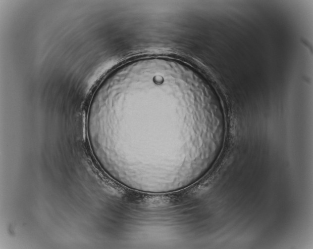 X0000103441171200809261747