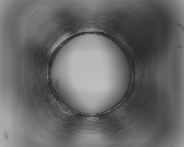 X0000103441173200809261747