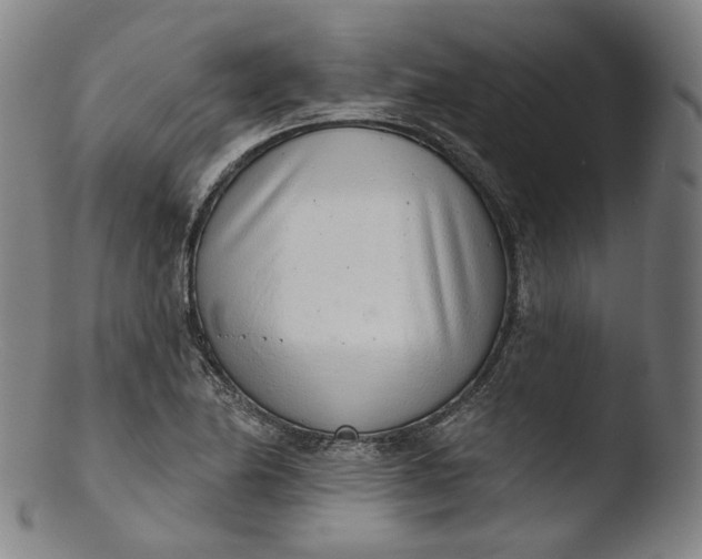 X0000103441174200809261747