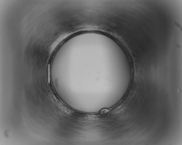 X0000103441175200809261747