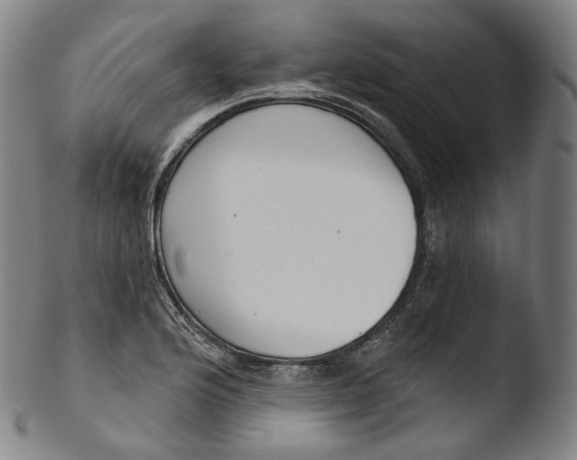 X0000103441176200809261747