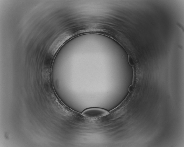 X0000103441177200809261747