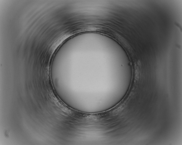 X0000103441178200809261747
