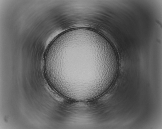 X0000103441179200809261747