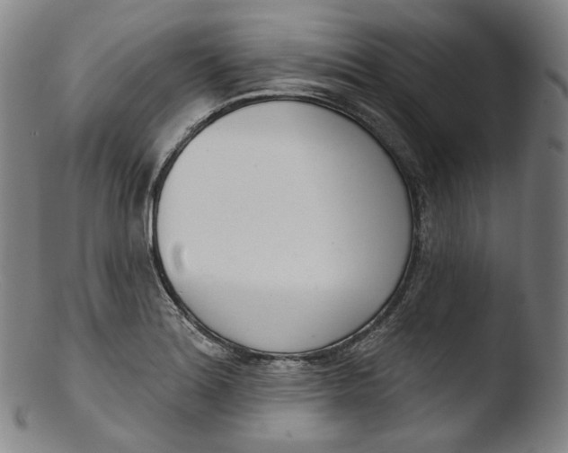 X0000103441180200809261747