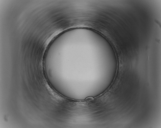 X0000103441181200809261747