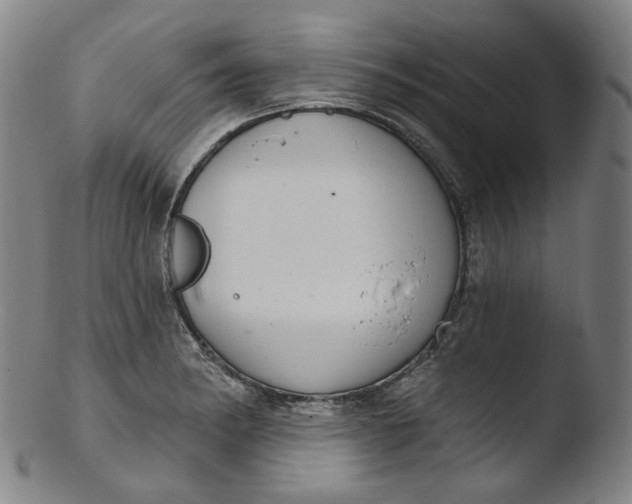 X0000103441182200809261747