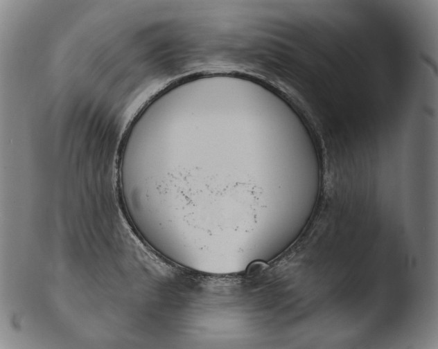X0000103441183200809261747
