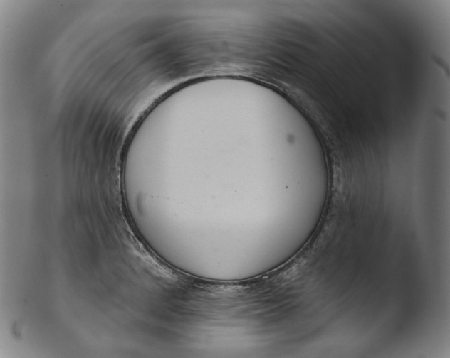 X0000103441184200809261747