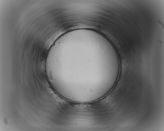 X0000103441185200809261747