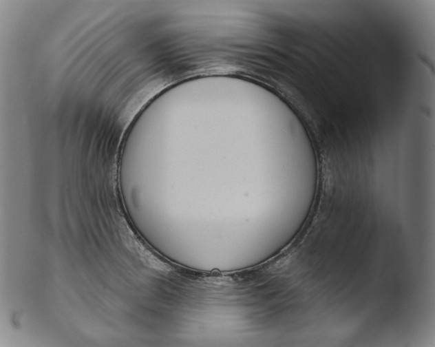X0000103441186200809261747