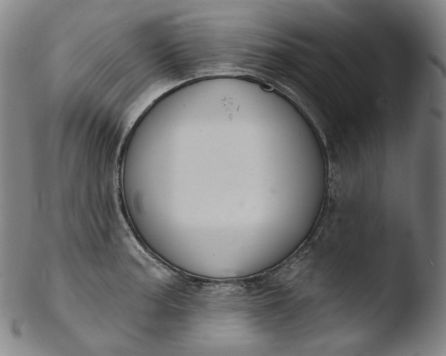 X0000103441187200809261747