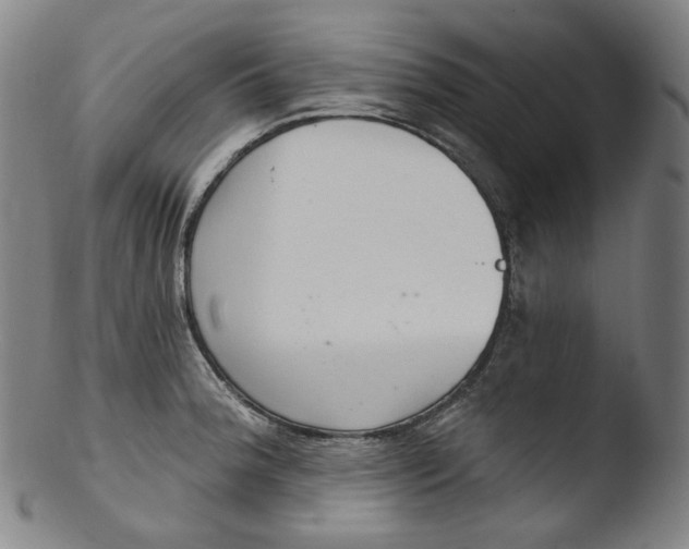 X0000103441188200809261747