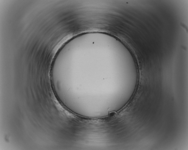 X0000103441189200809261747