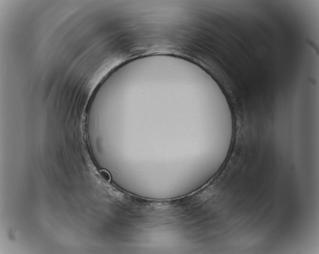 X0000103441190200809261747