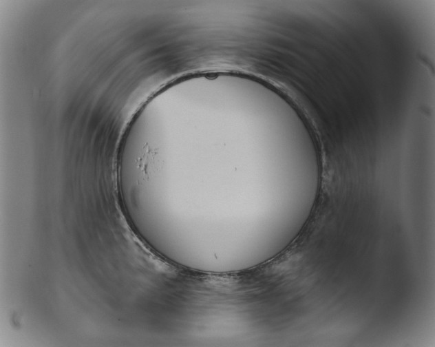 X0000103441191200809261747