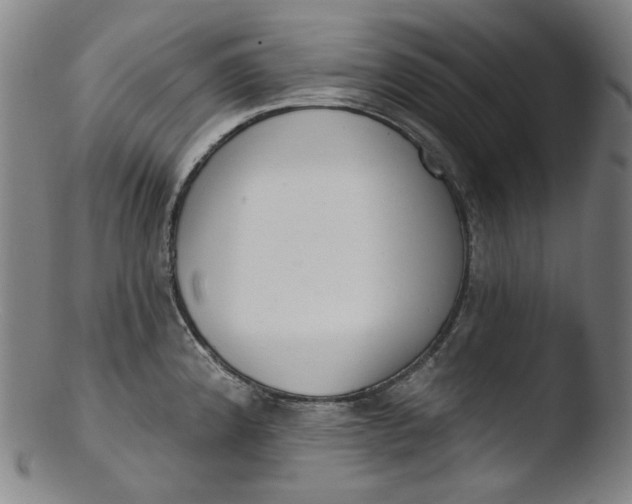 X0000103441192200809261747