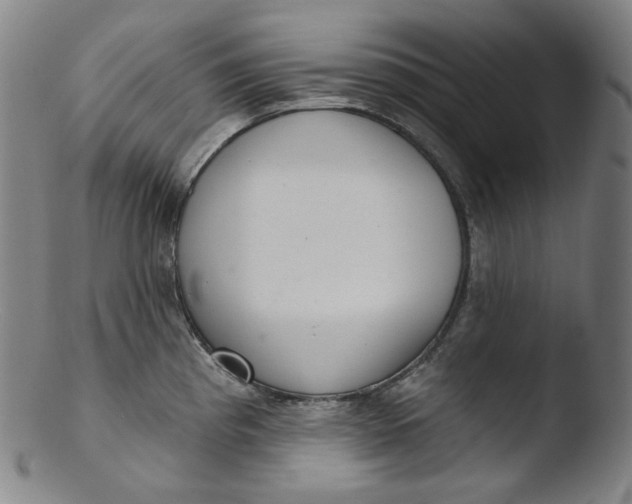 X0000103441193200809261747