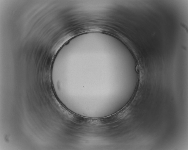 X0000103441194200809261747