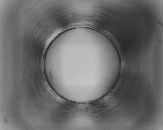 X0000103441196200809261747