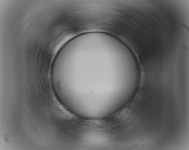 X0000103441197200809261747