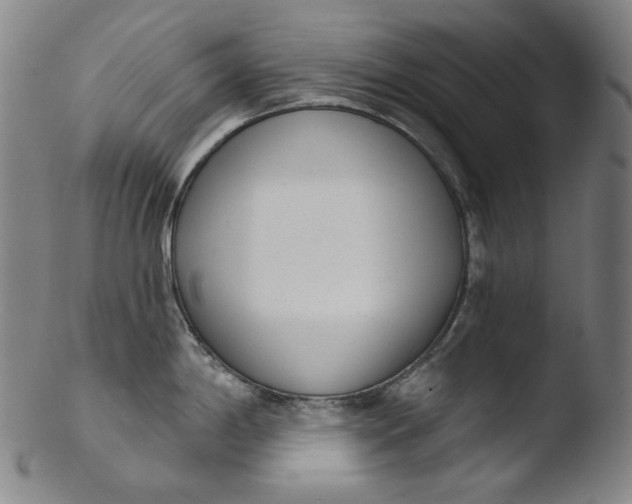 X0000103441198200809261747