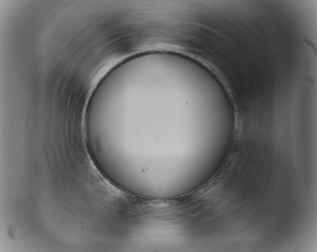 X0000103441199200809261747