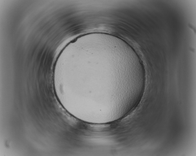 X0000103441200200809261747