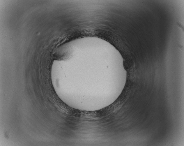 X0000103441201200809261746