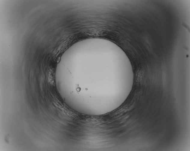 X0000103441202200809261746