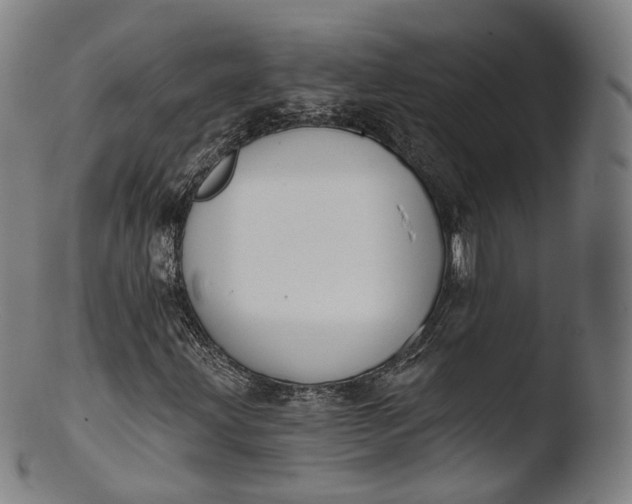 X0000103441203200809261746