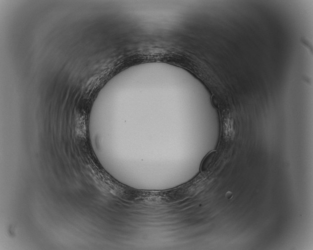 X0000103441204200809261746