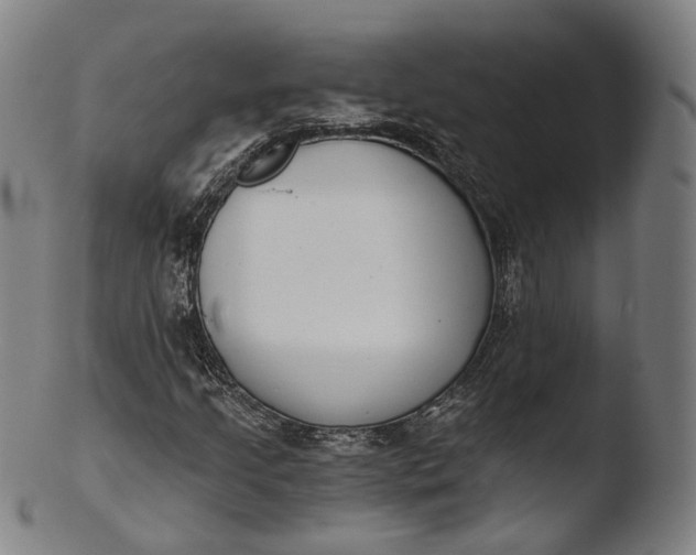 X0000103441205200809261746