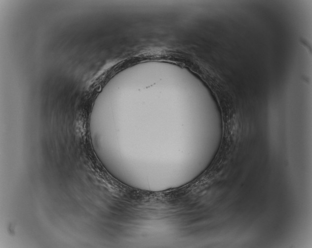 X0000103441206200809261746