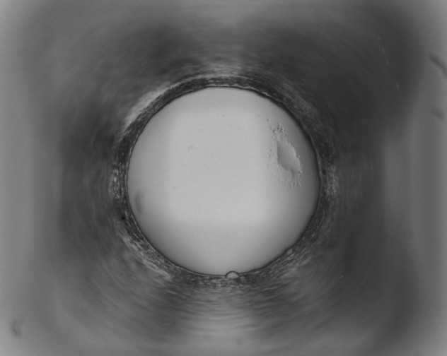 X0000103441208200809261746