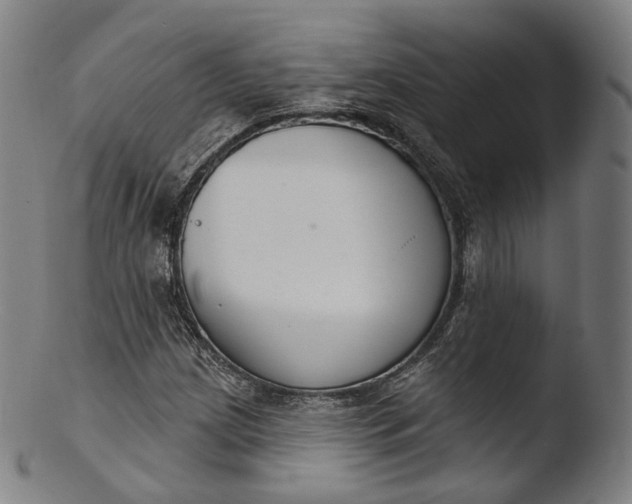 X0000103441209200809261746
