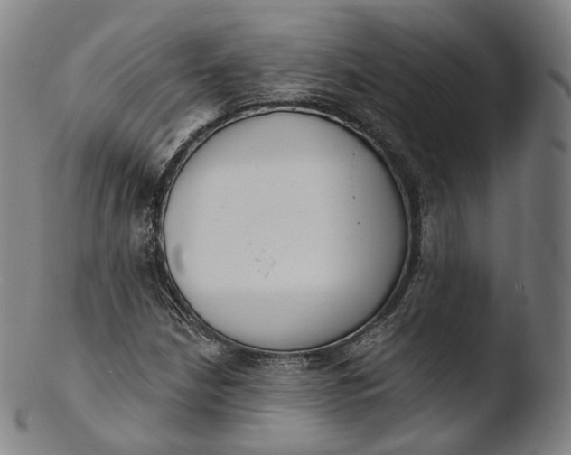X0000103441210200809261746