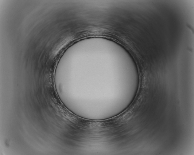 X0000103441211200809261746