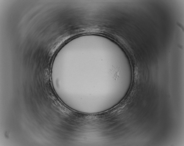 X0000103441212200809261746