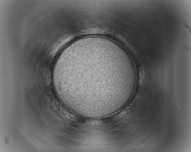 X0000103441213200809261746