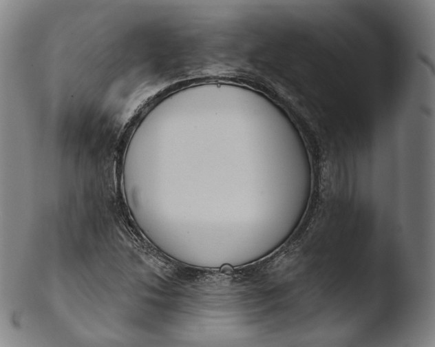 X0000103441214200809261746
