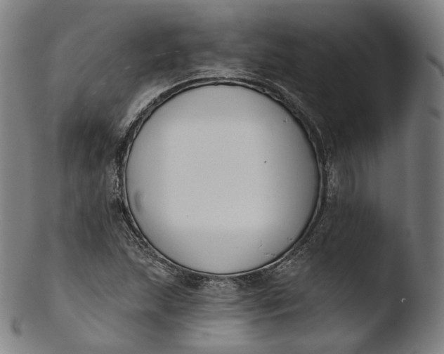 X0000103441215200809261746