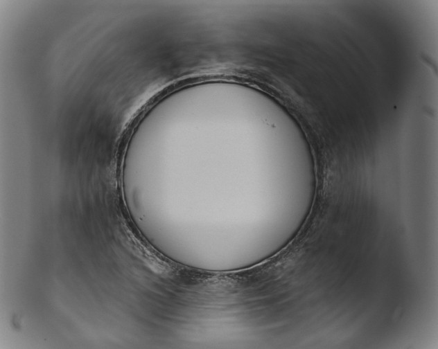 X0000103441216200809261746