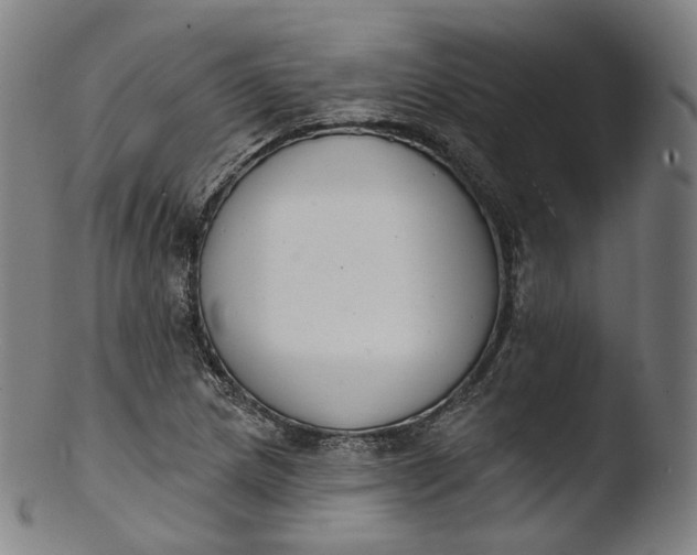 X0000103441217200809261746
